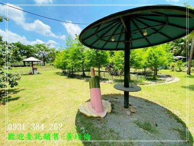 近南瀛天文館休閒莊園台南培倫房屋土地王視意圖